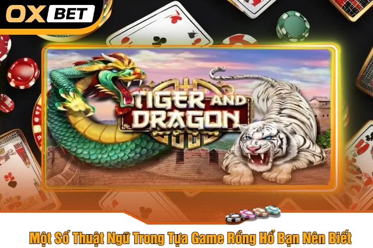 Một Số Thuật Ngữ Trong Tựa Game Rồng Hổ Bạn Nên Biết